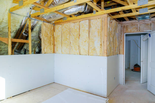 Best Insulation Maintenance and Repair in Brady, TX